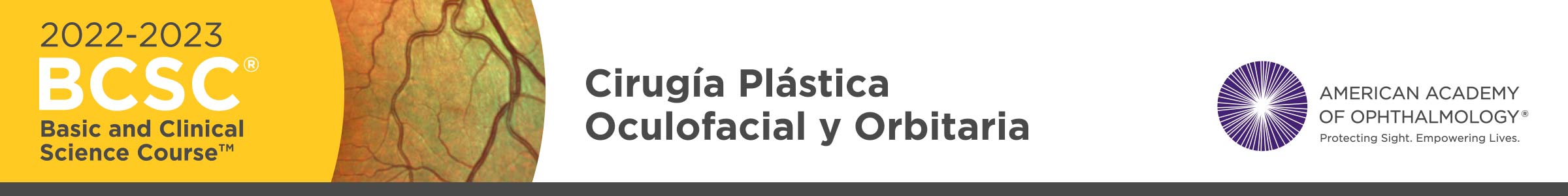 BCSC Oculoplastia 2023 Logo